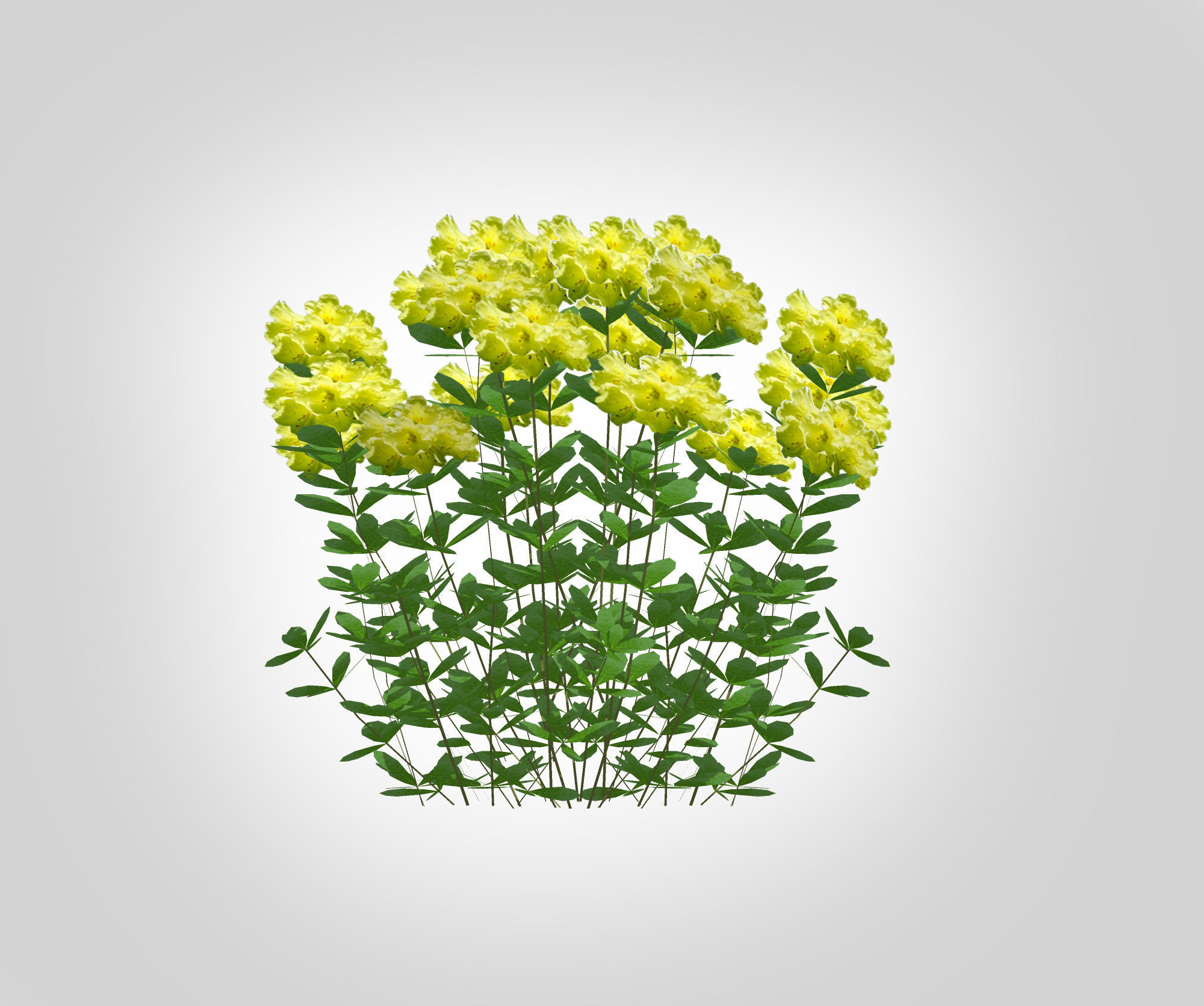 Plant Azalea Yellow Low-poly 3D model_3