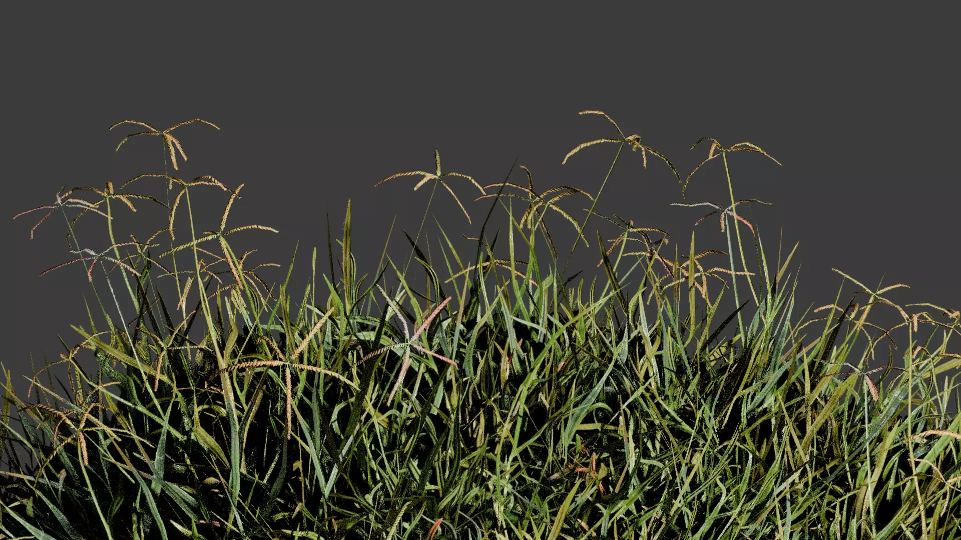 grass pack low poly modal Free low-poly 3D model