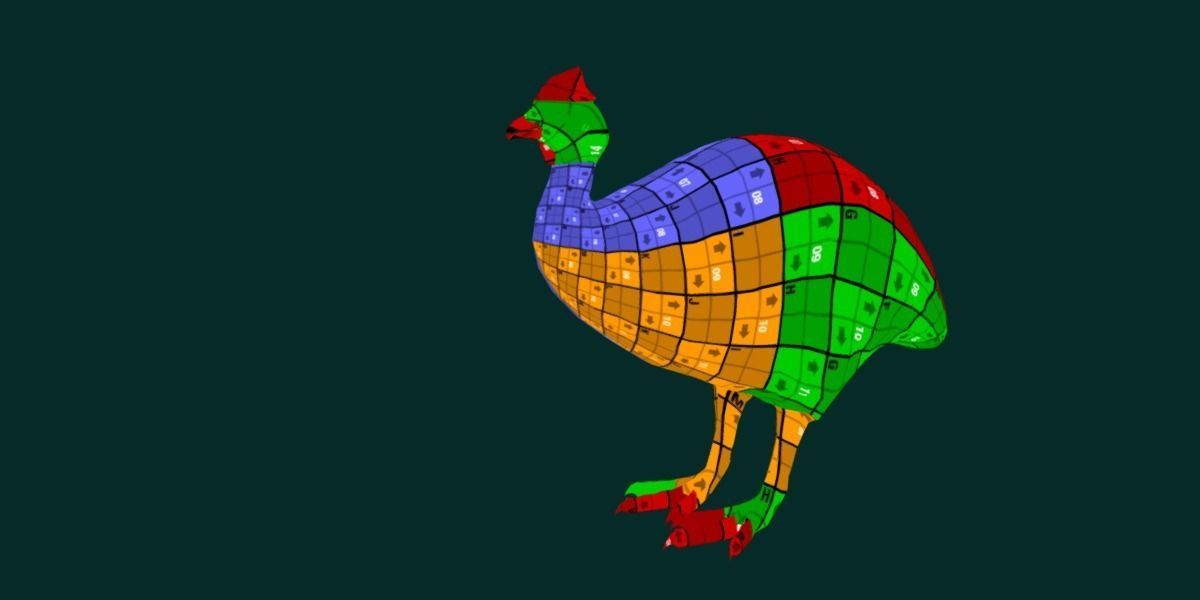 Australian Cassowary Bird  Low-poly 3D model_14