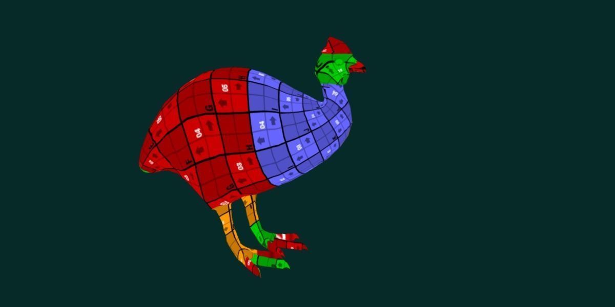 Australian Cassowary Bird  Low-poly 3D model_15