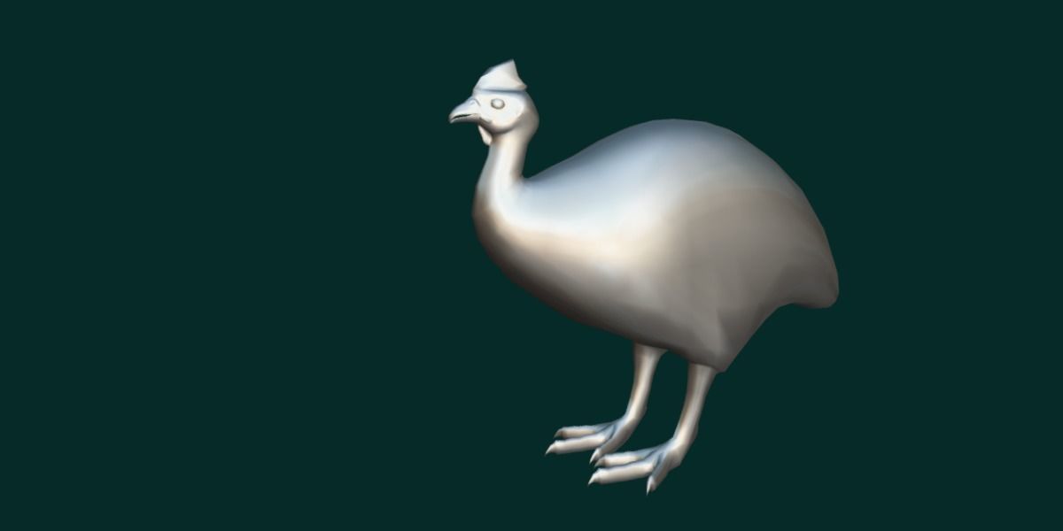 Australian Cassowary Bird  Low-poly 3D model_10
