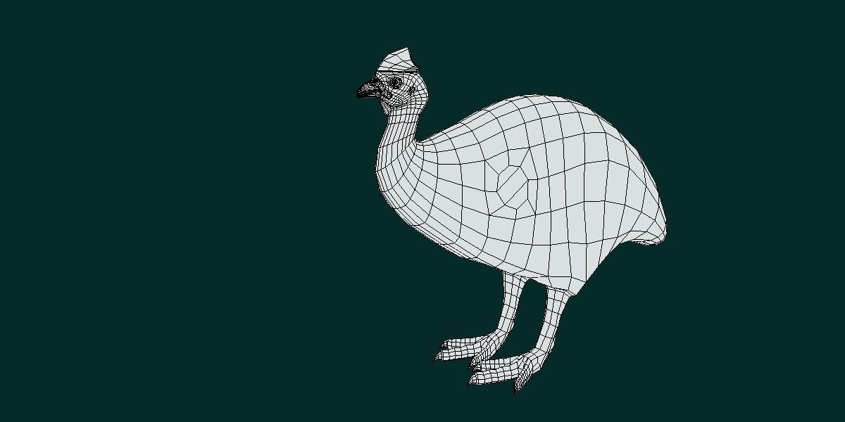 Australian Cassowary Bird  Low-poly 3D model_12