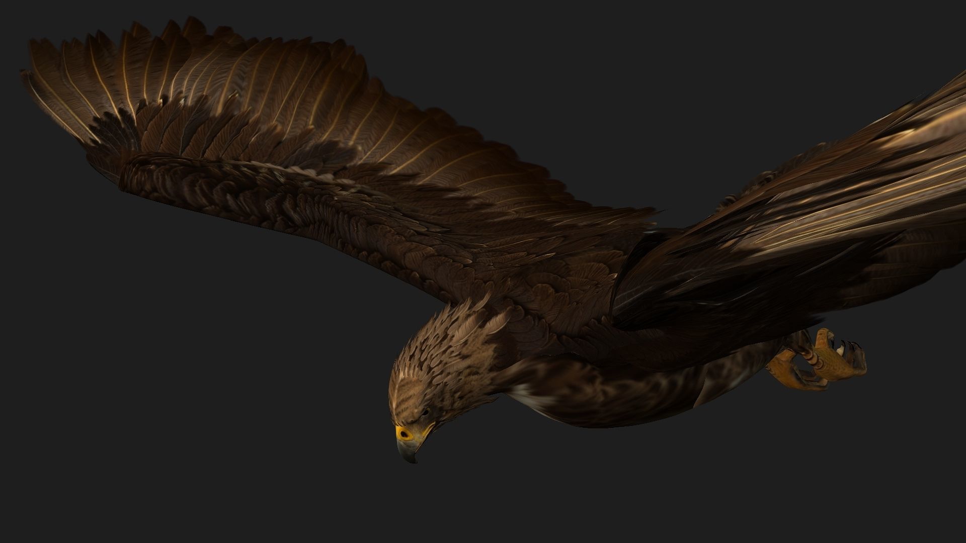 Eagle V3E 3D model_7