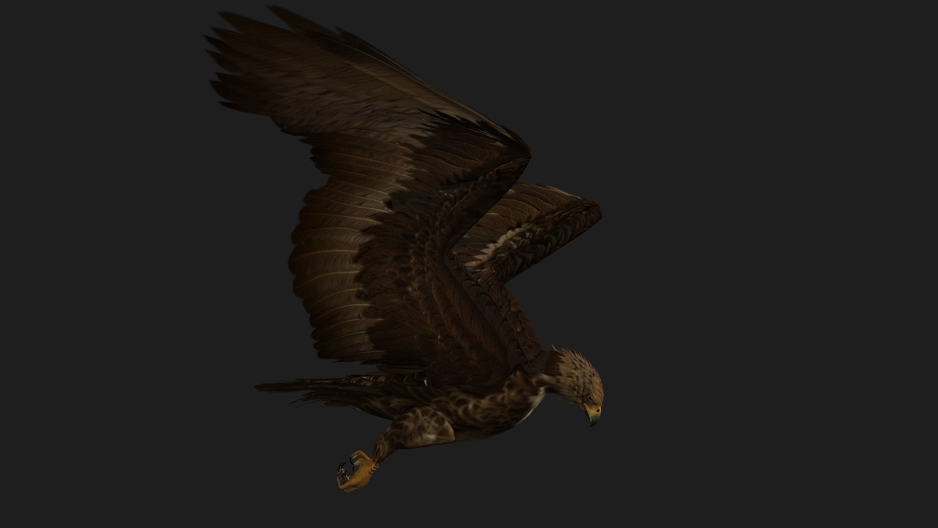 Eagle V3E 3D model_4
