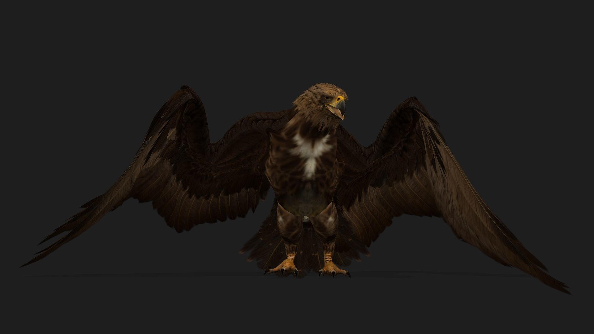 Eagle V3E 3D model_16