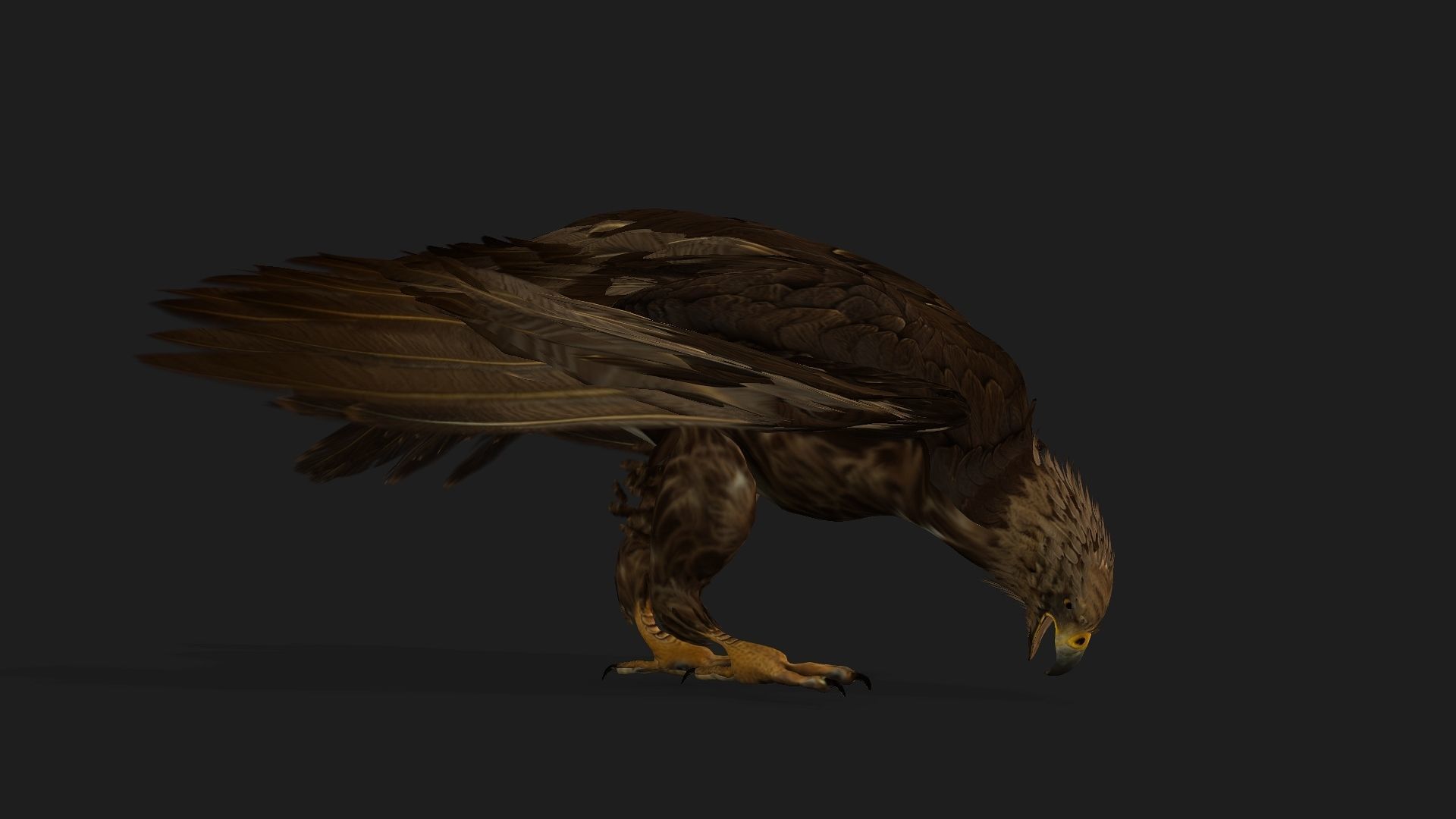 Eagle V3E 3D model_3