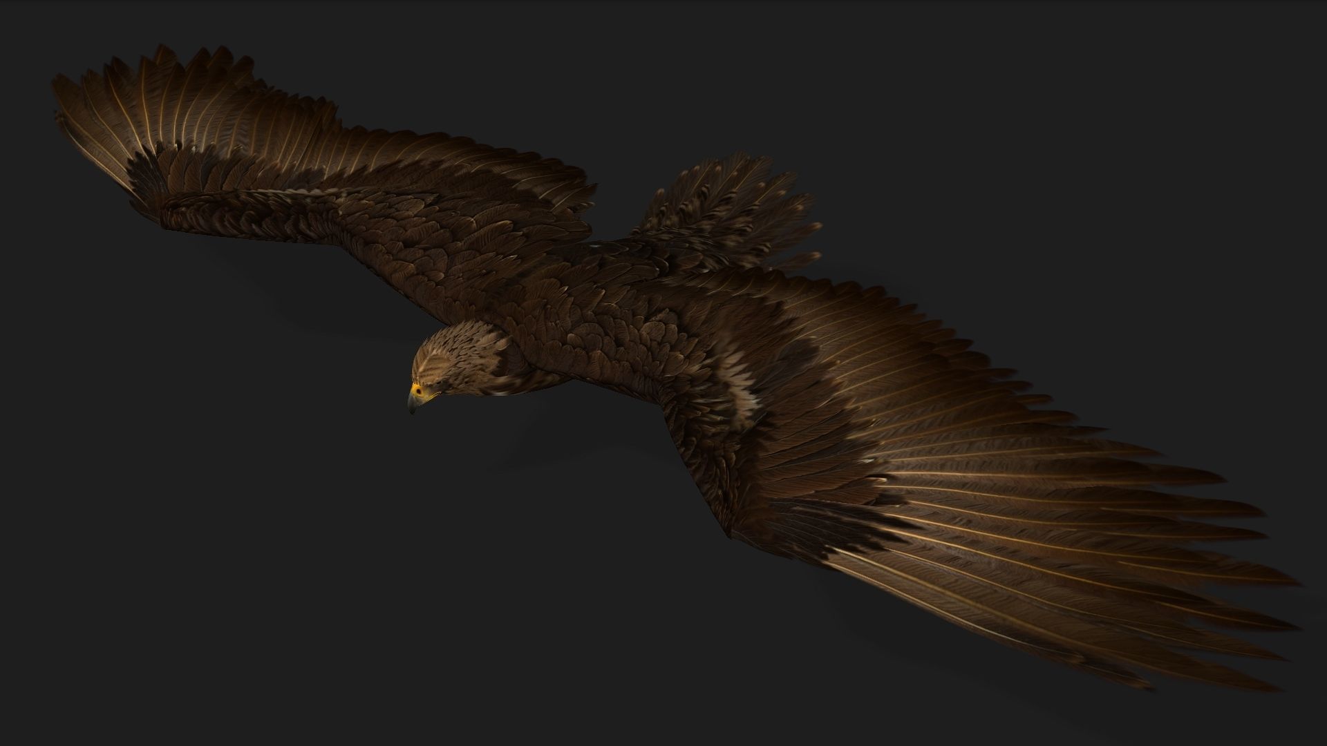 Eagle V3E 3D model_2