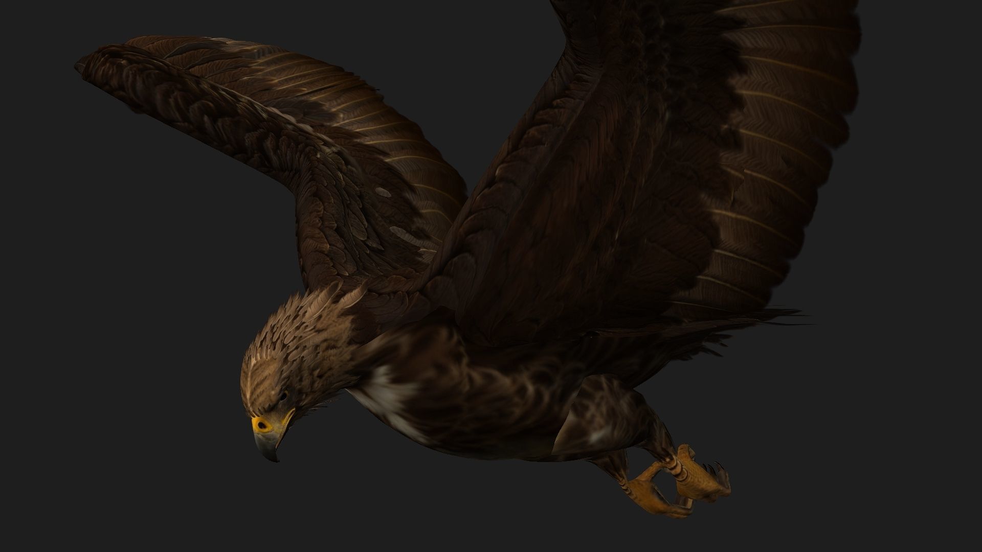Eagle V3E 3D model_6
