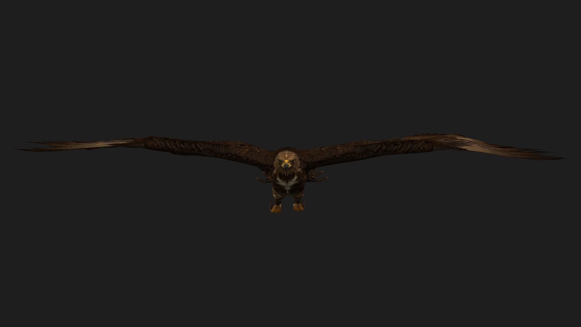 Eagle V3E 3D model_10