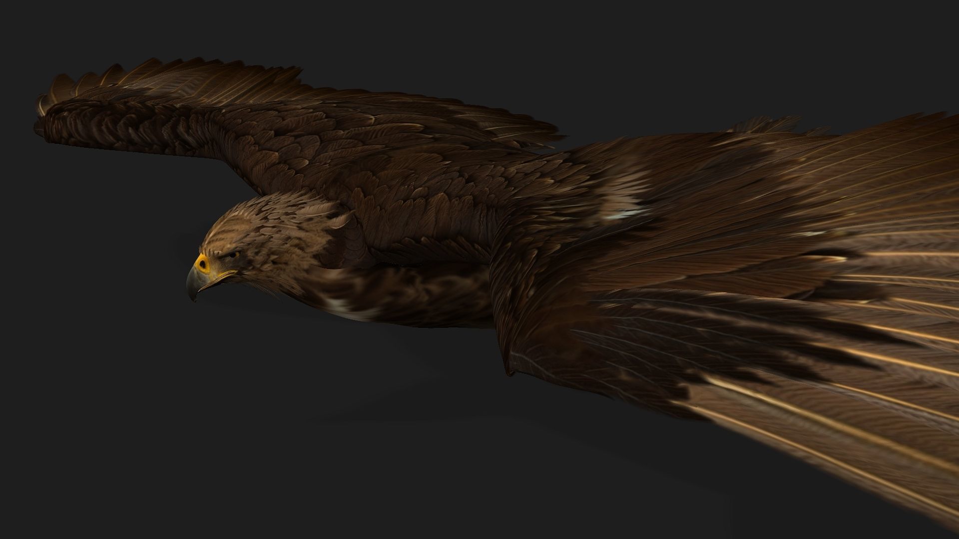 Eagle V3E 3D model_11