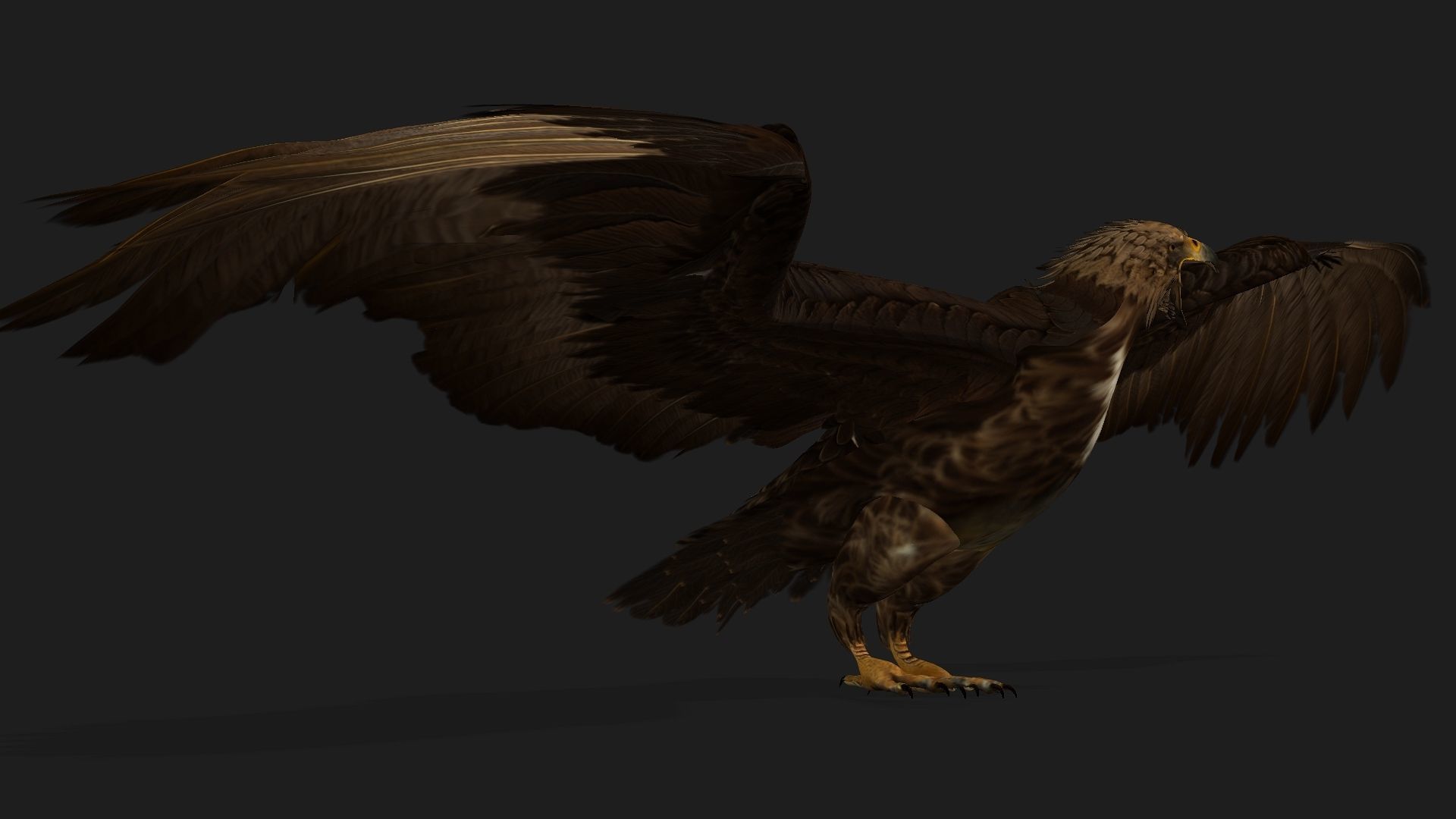 Eagle V3E 3D model_15
