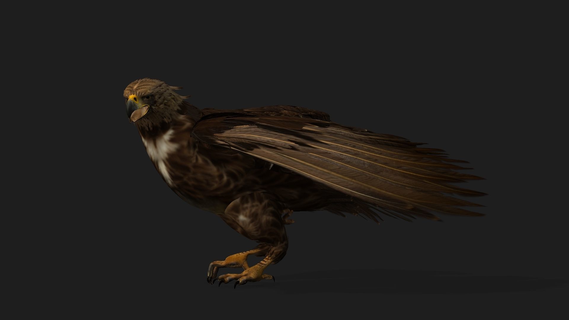 Eagle V3E 3D model_12