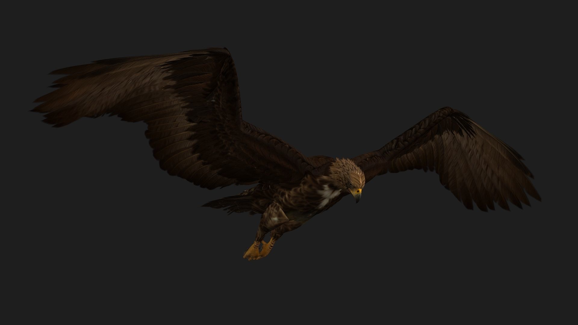 Eagle V3E 3D model_5