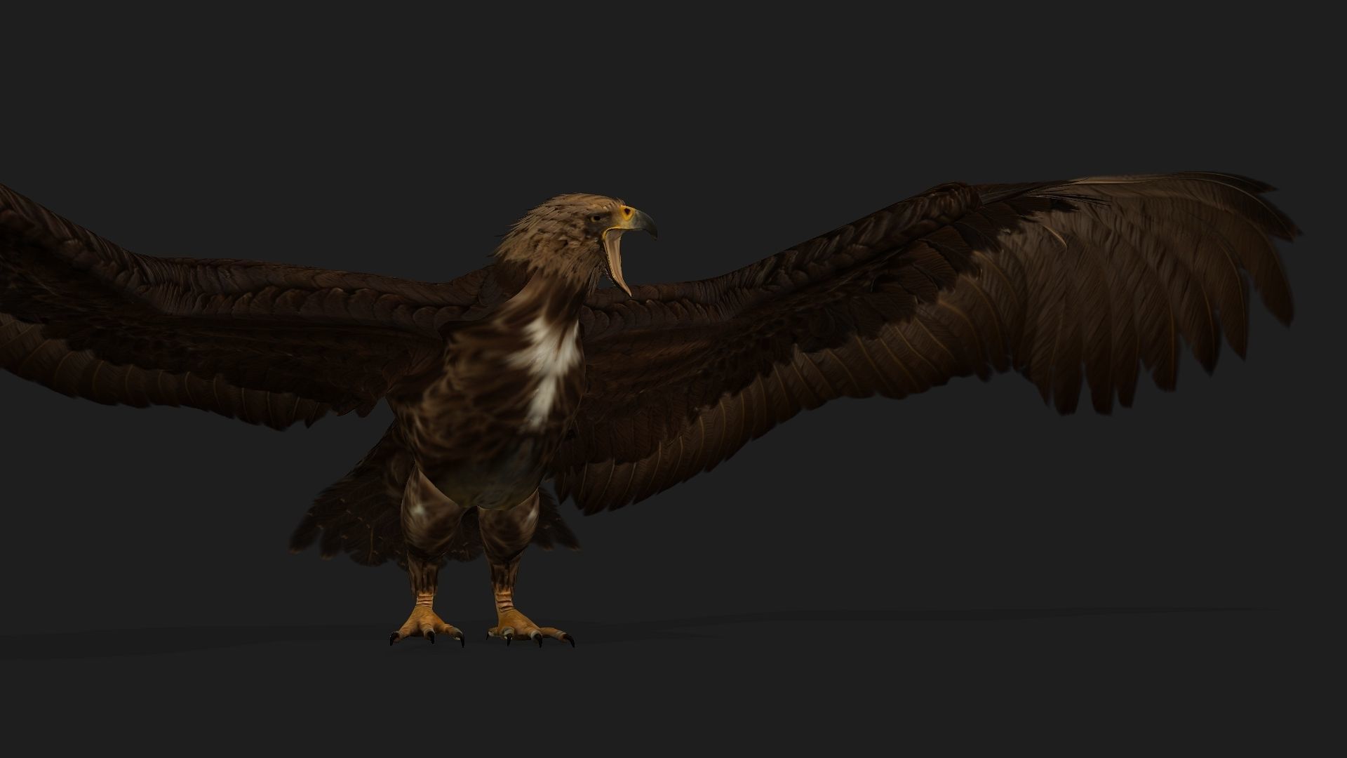 Eagle V3E 3D model_14