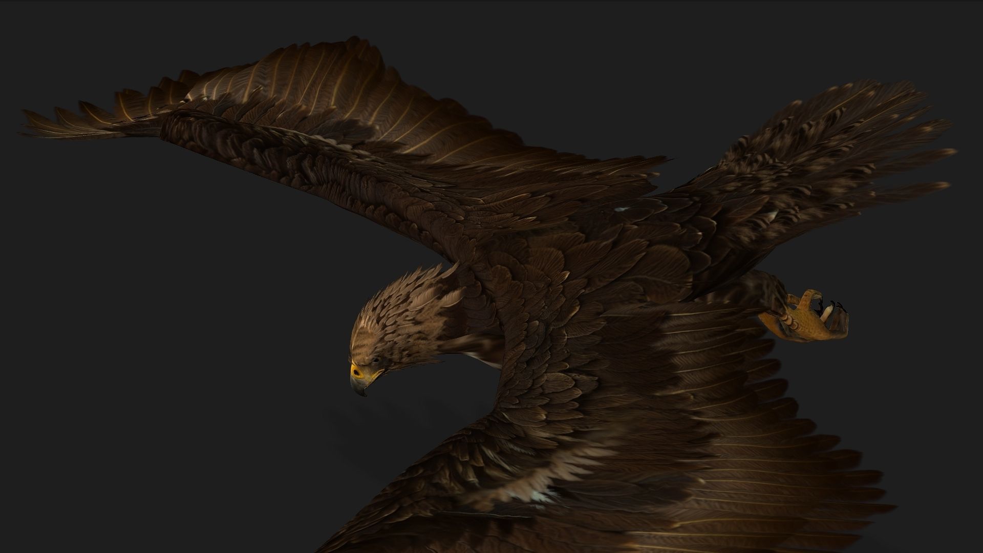 Eagle V3E 3D model_8