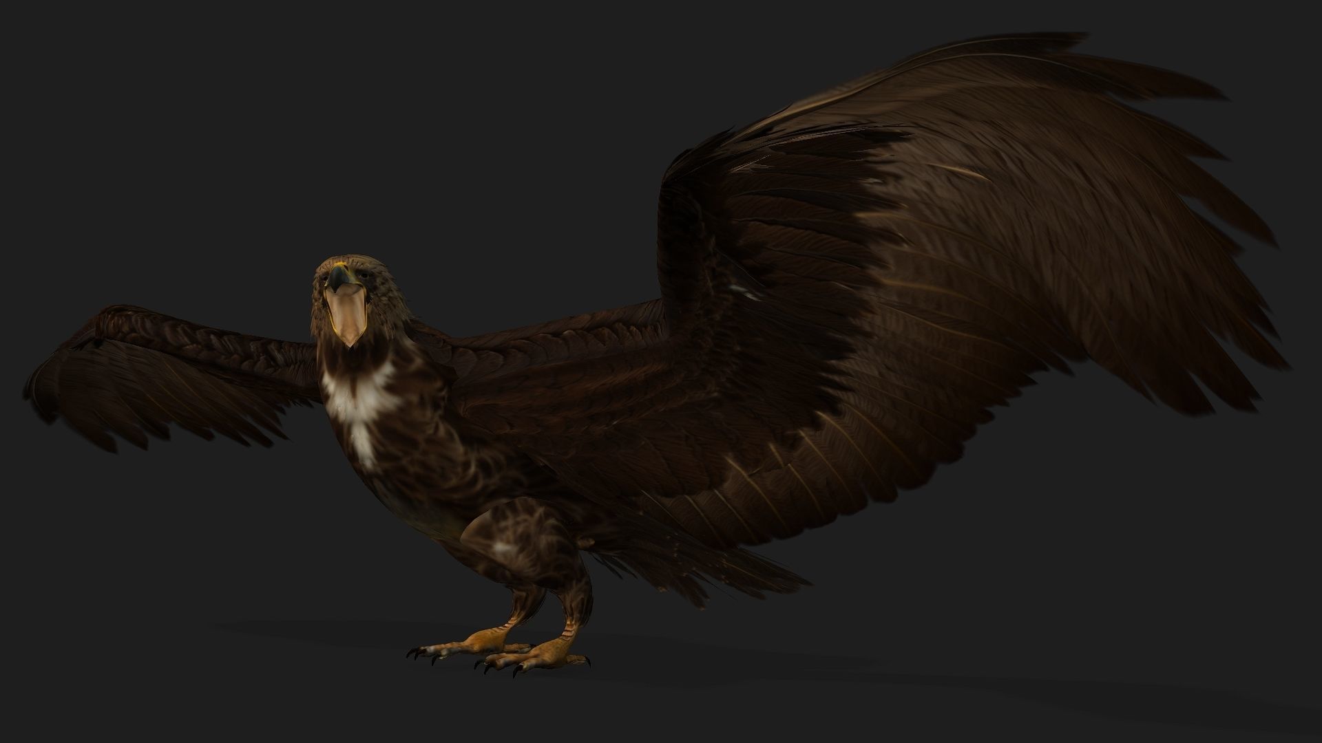 Eagle V3E 3D model_13