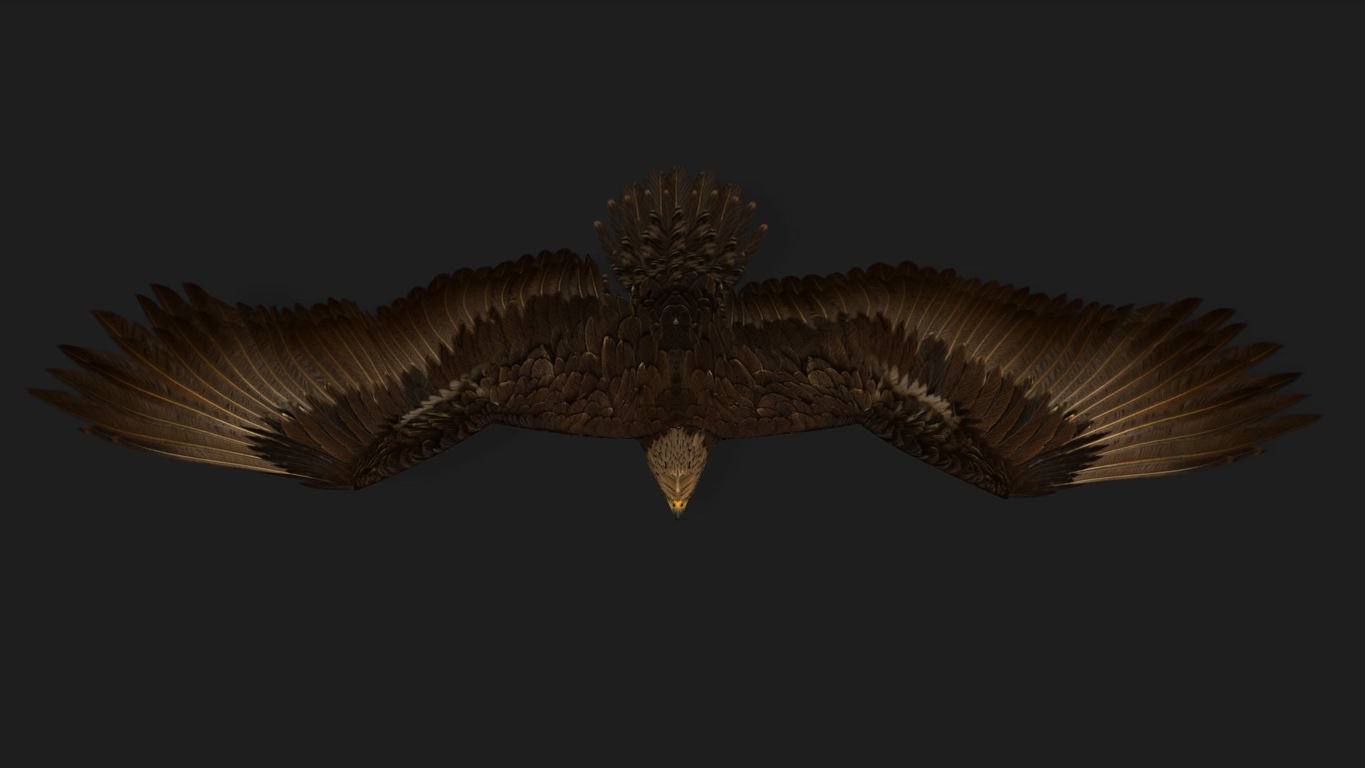 Eagle V3E 3D model_9