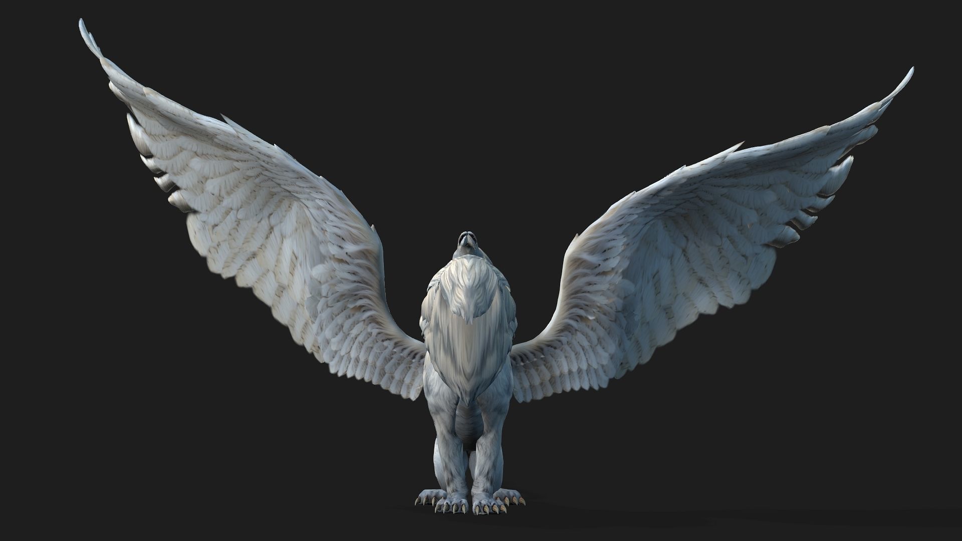 Lion Gryphus A1 3D model_5