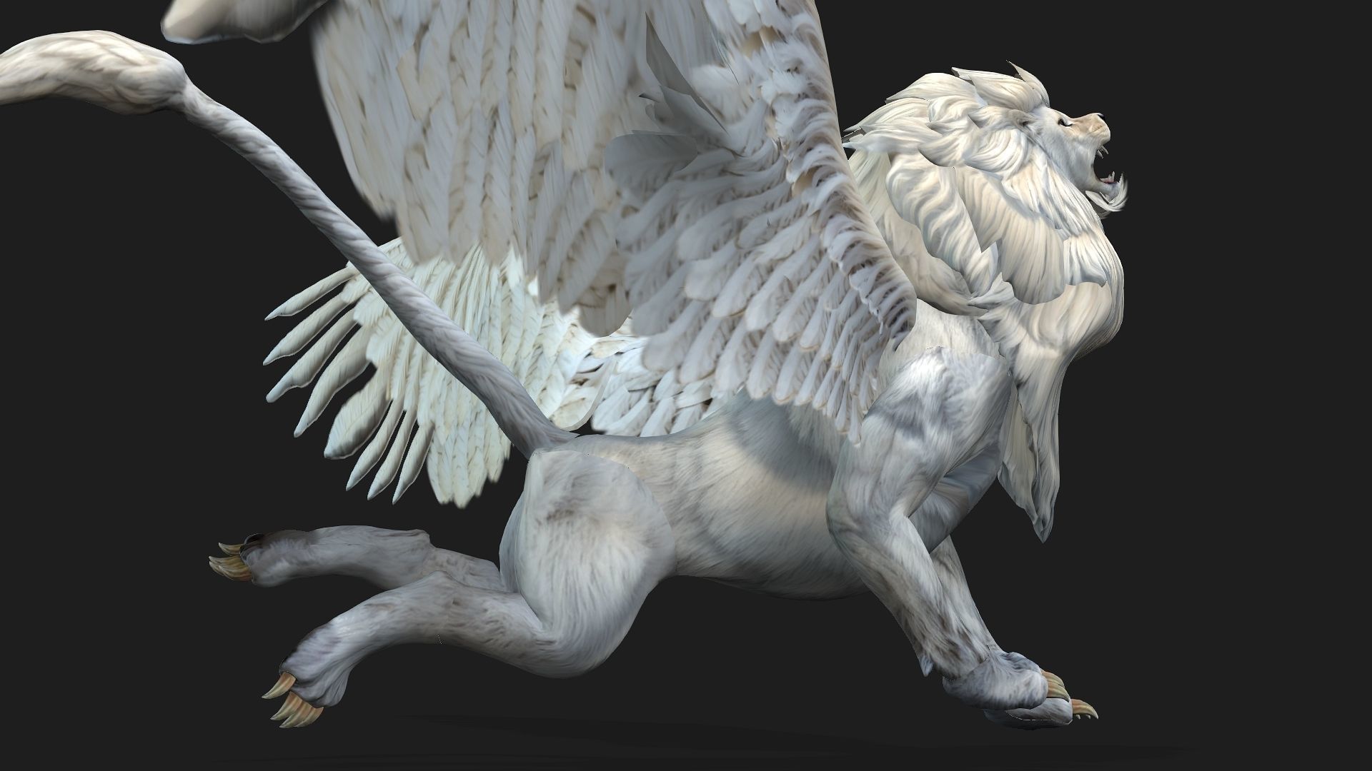 Lion Gryphus A1 3D model_12