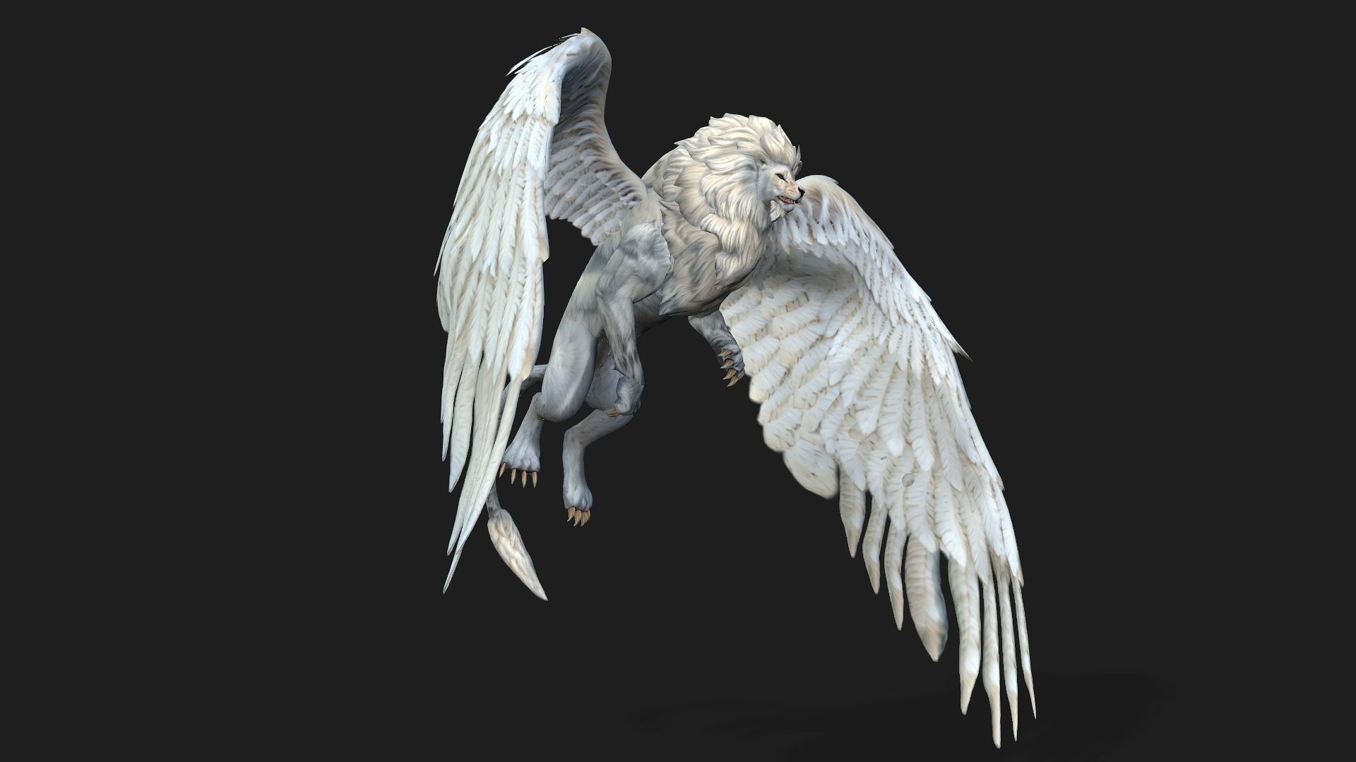 Lion Gryphus A1 3D model_6