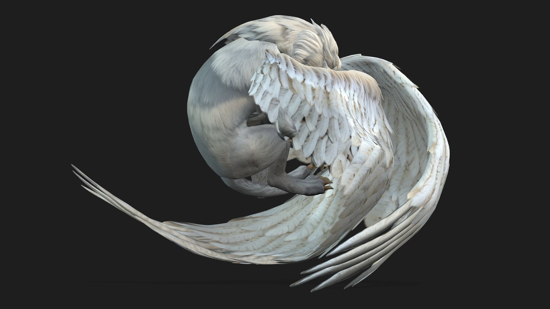 Lion Gryphus A1 3D model_9