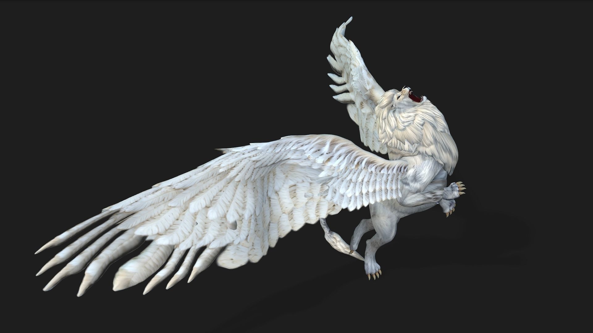 Lion Gryphus A1 3D model_10