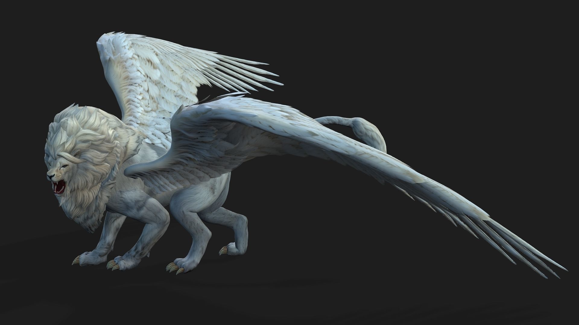 Lion Gryphus A1 3D model_18