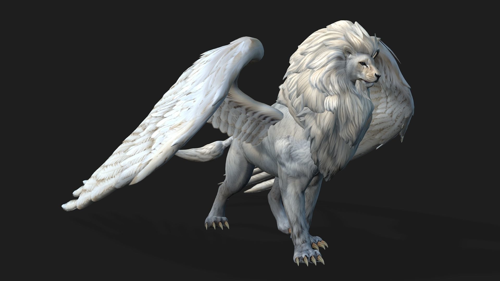 Lion Gryphus A1 3D model_20