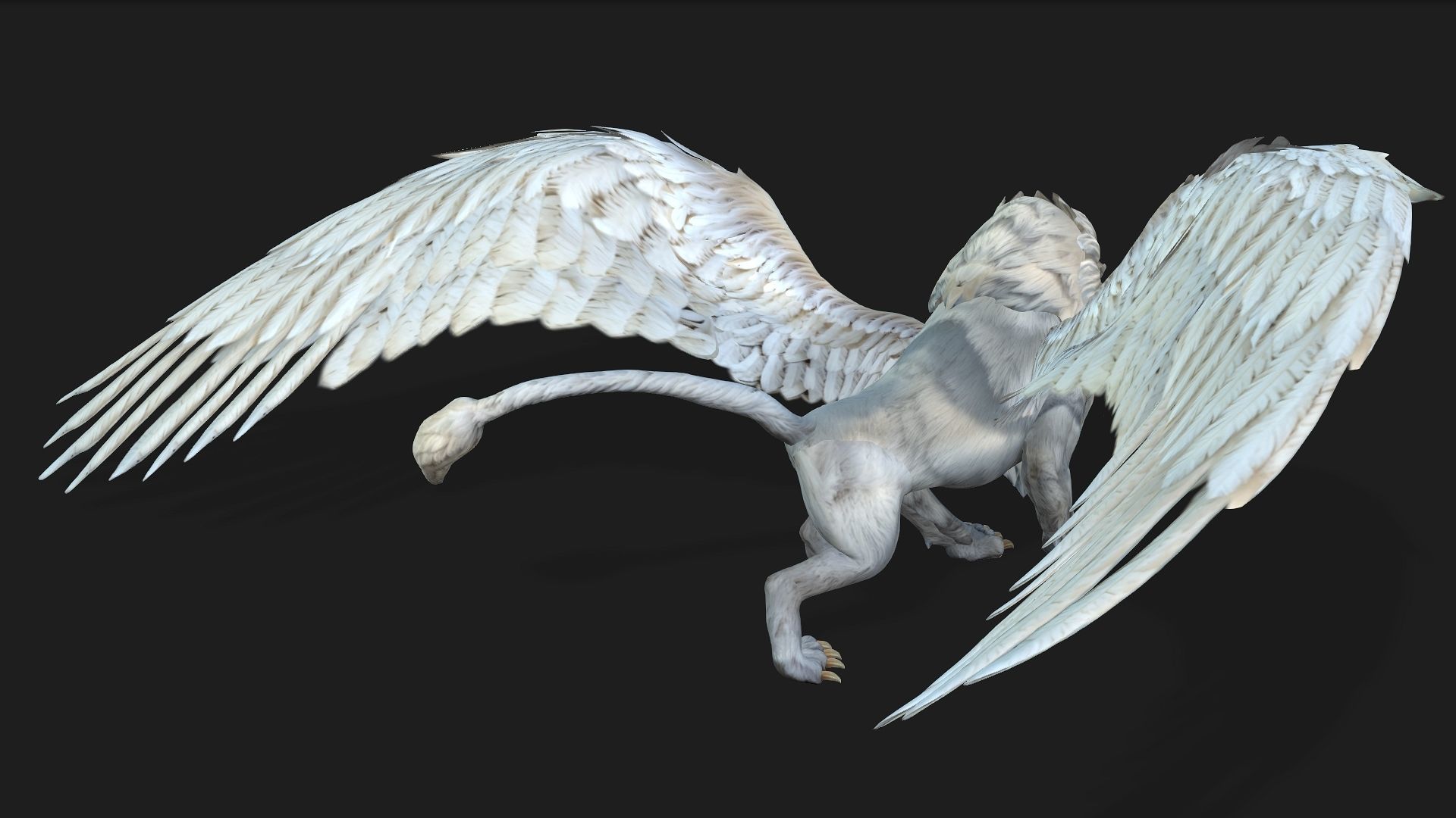 Lion Gryphus A1 3D model_27