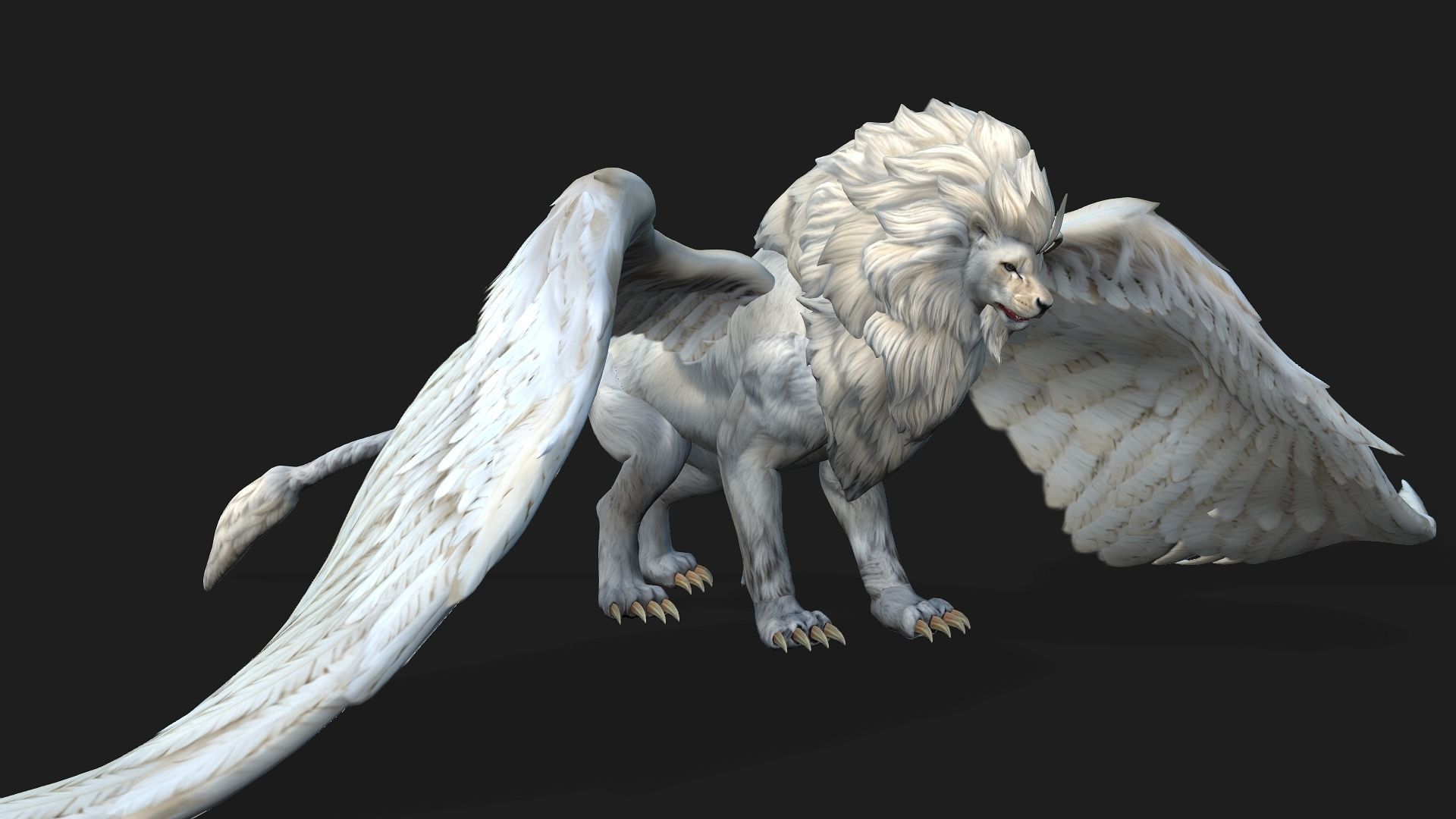 Lion Gryphus A1 3D model_14