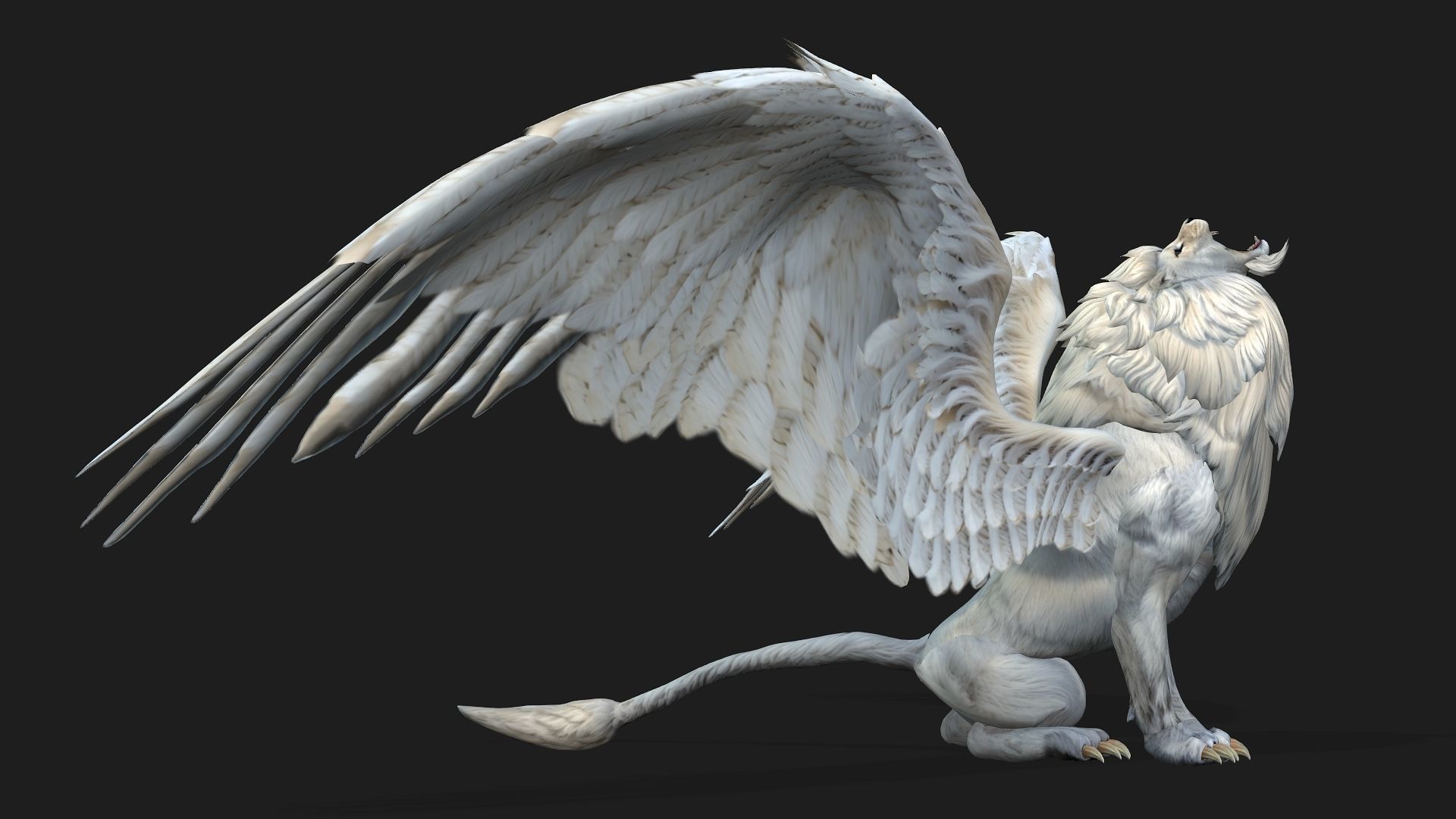 Lion Gryphus A1 3D model_4