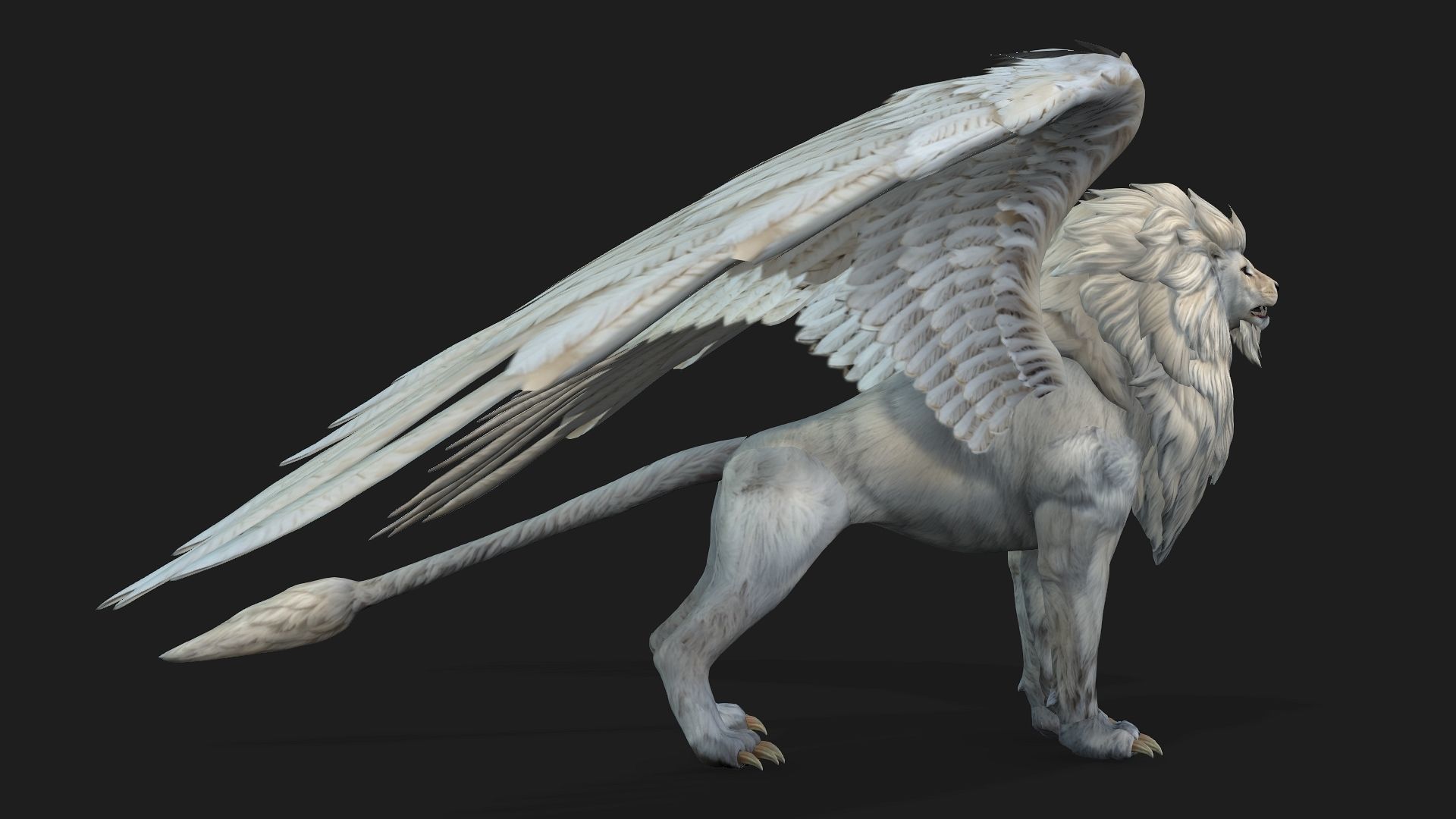 Lion Gryphus A1 3D model_2