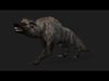 Hyenas A1 Free 3D model_1