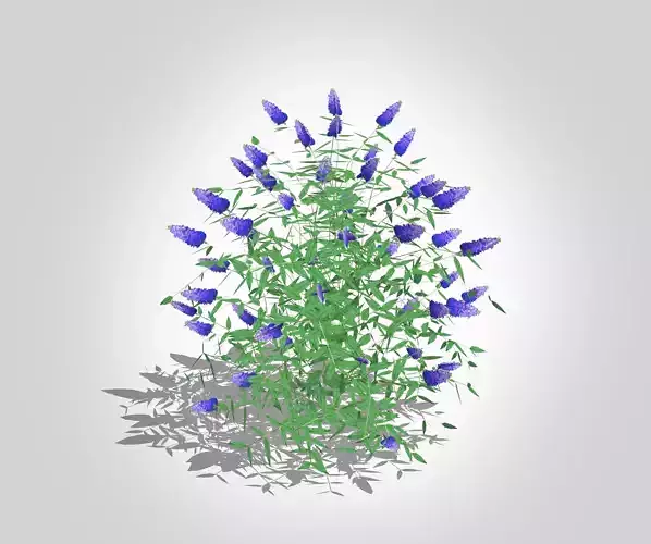 Plant Buddleia Butterfly Bush Blue Low-poly 3D model
