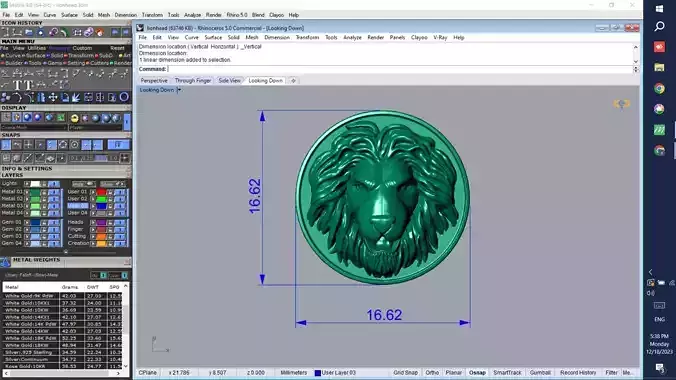 Lion head pendant 3D printable model  3D print model
