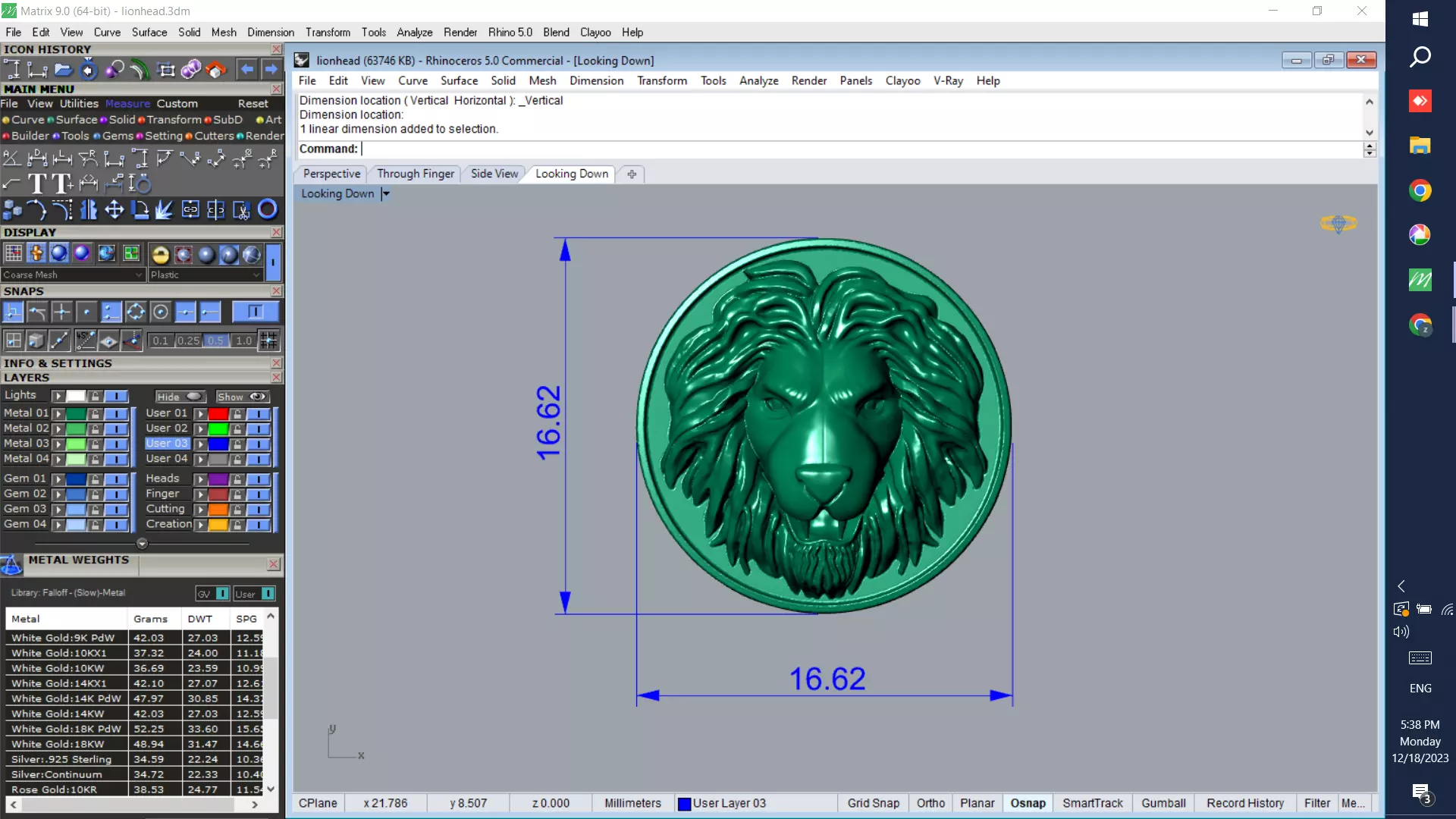 Lion head pendant 3D printable model  3D print model_0