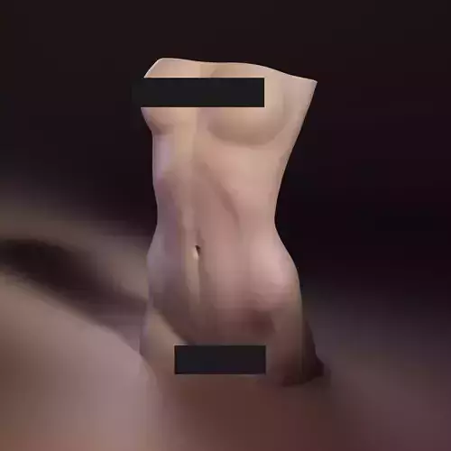 Female Figure Vase printable model