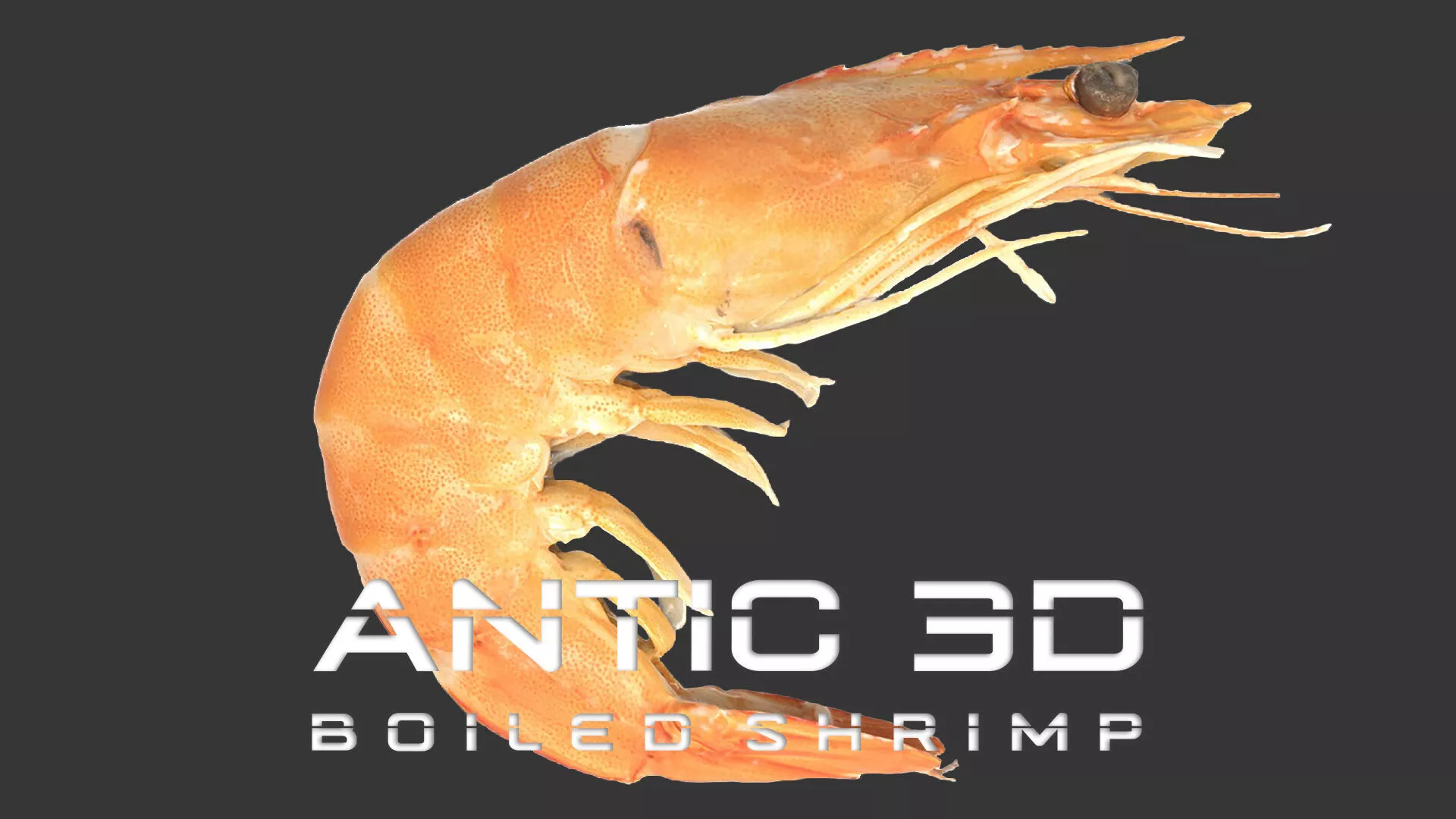 Boiled Shrimp Low-poly 3D model