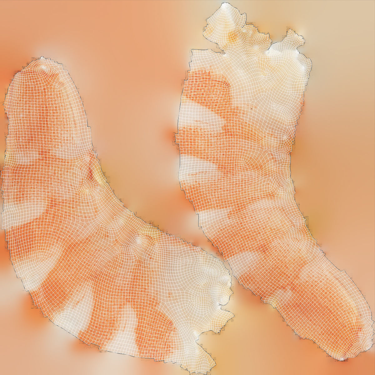 Boiled Shrimp Low-poly 3D model_9