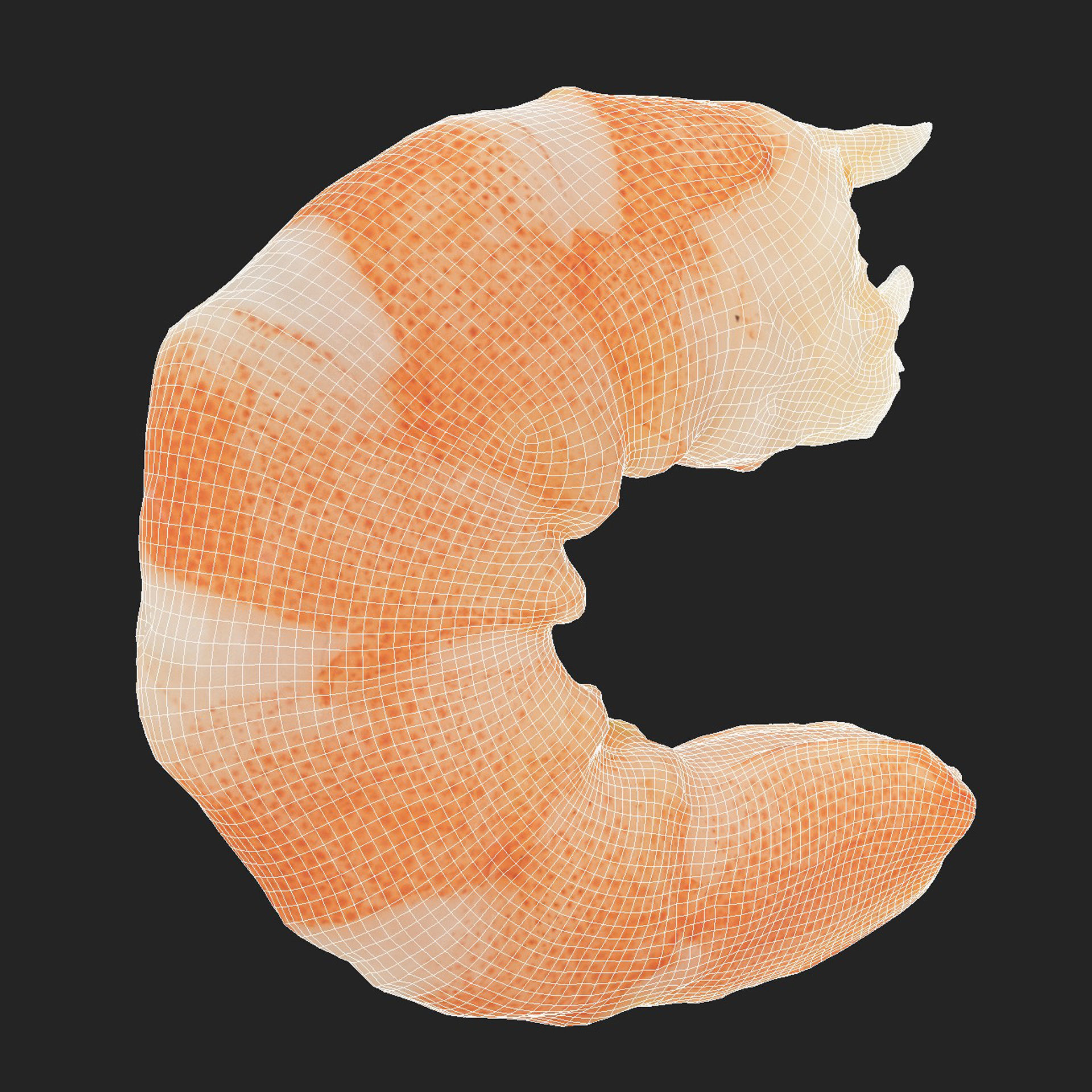Boiled Shrimp Low-poly 3D model_8
