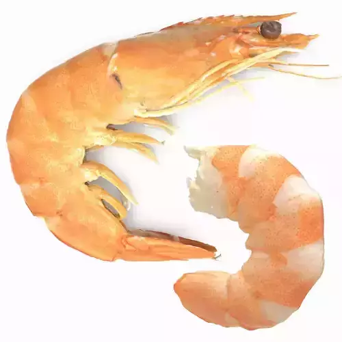 Boiled Shrimp Low-poly 3D model