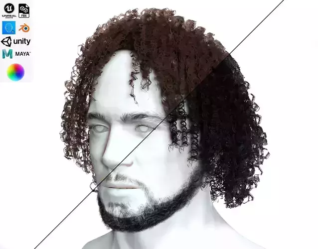 Realistic Male Long Curly Hair Low-poly 3D model