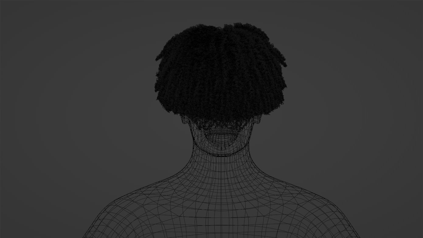 Loose Curl Afro 3D model_21