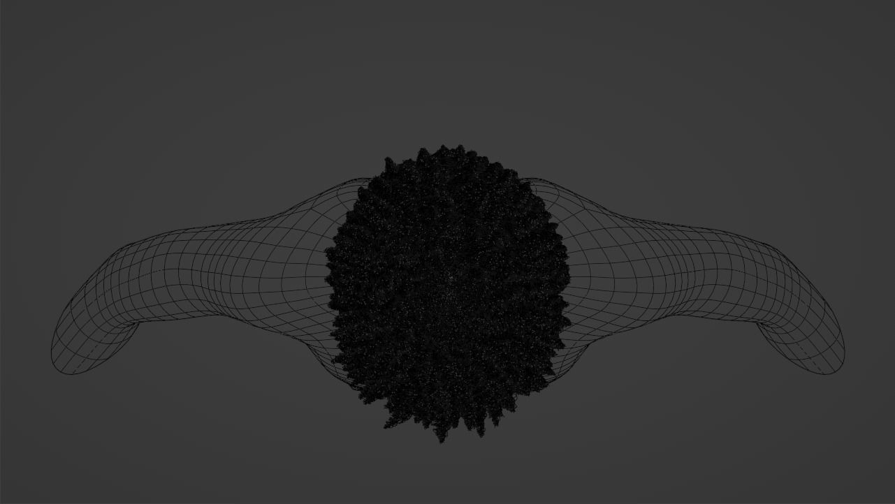 Loose Curl Afro 3D model_17