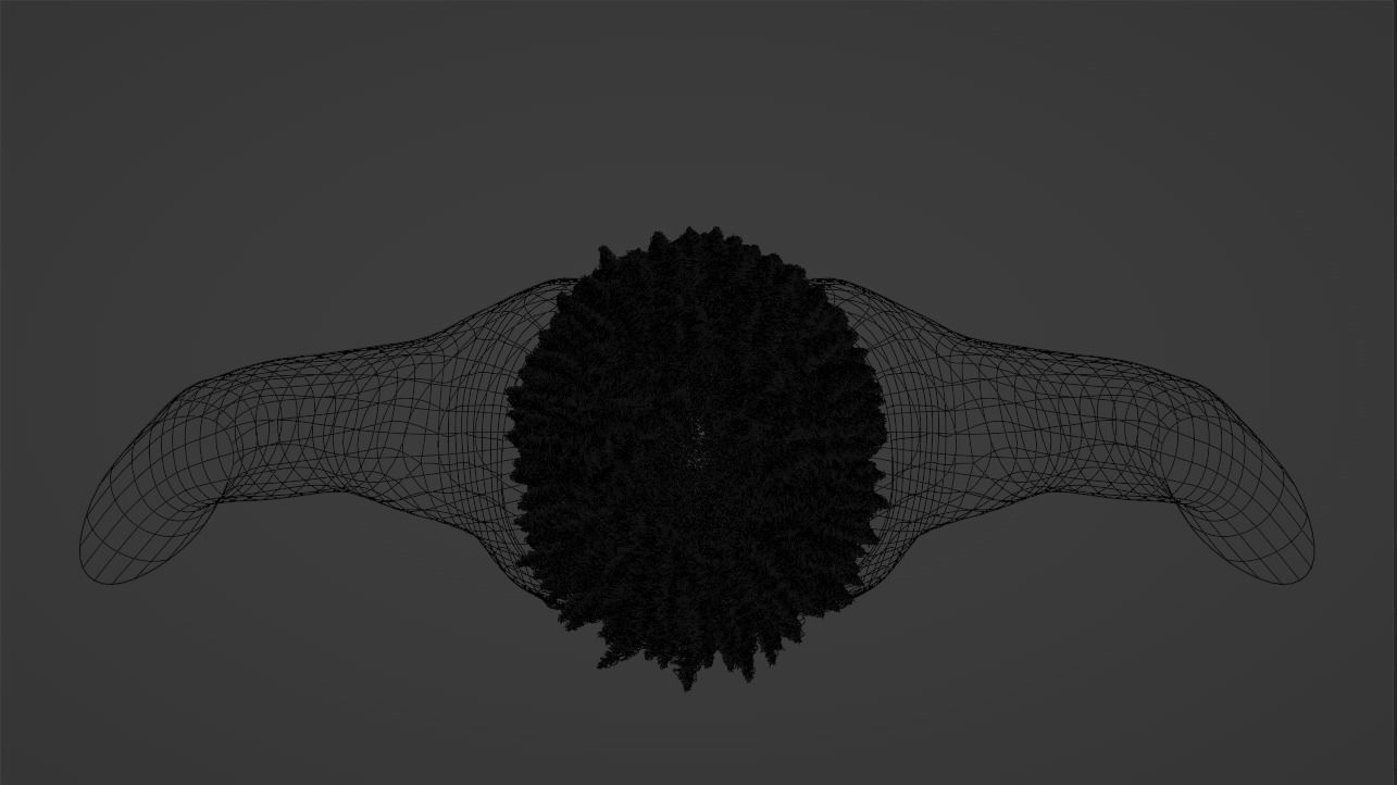 Loose Curl Afro 3D model_18
