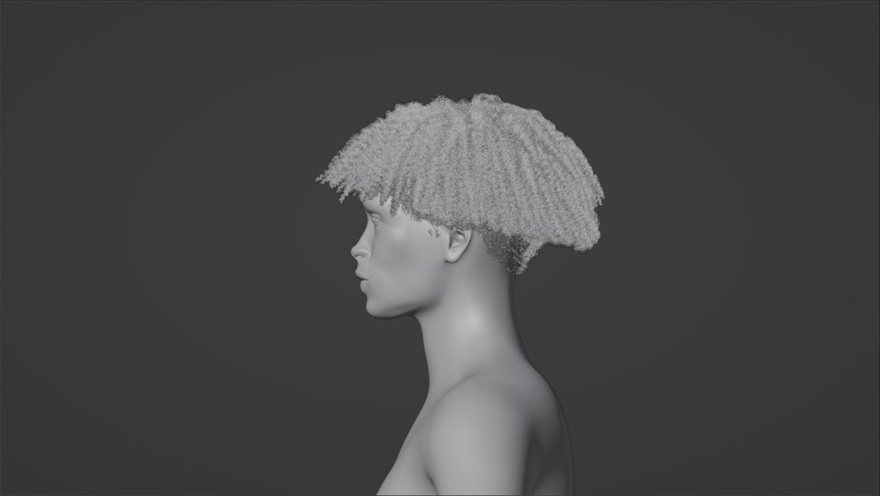 Loose Curl Afro 3D model_7