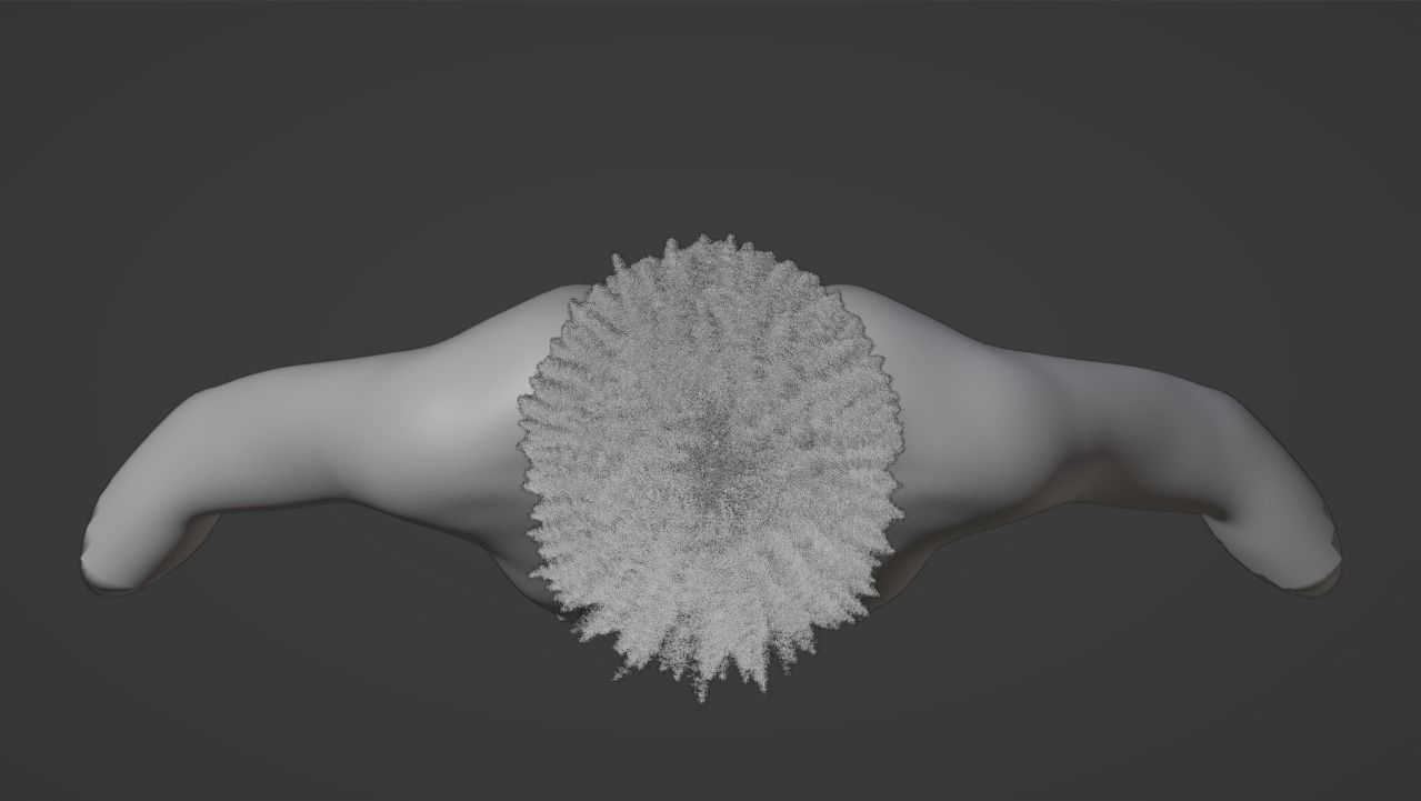 Loose Curl Afro 3D model_16