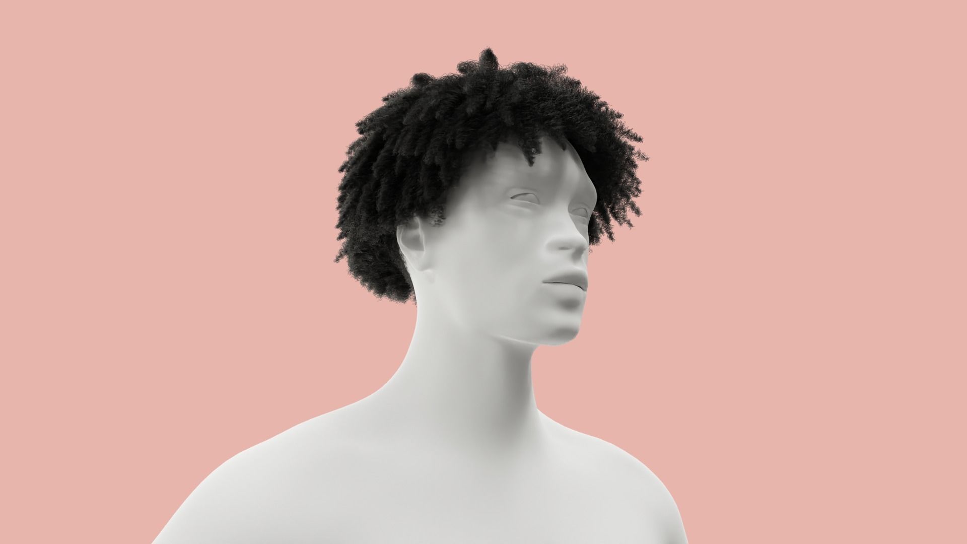 Loose Curl Afro 3D model_3