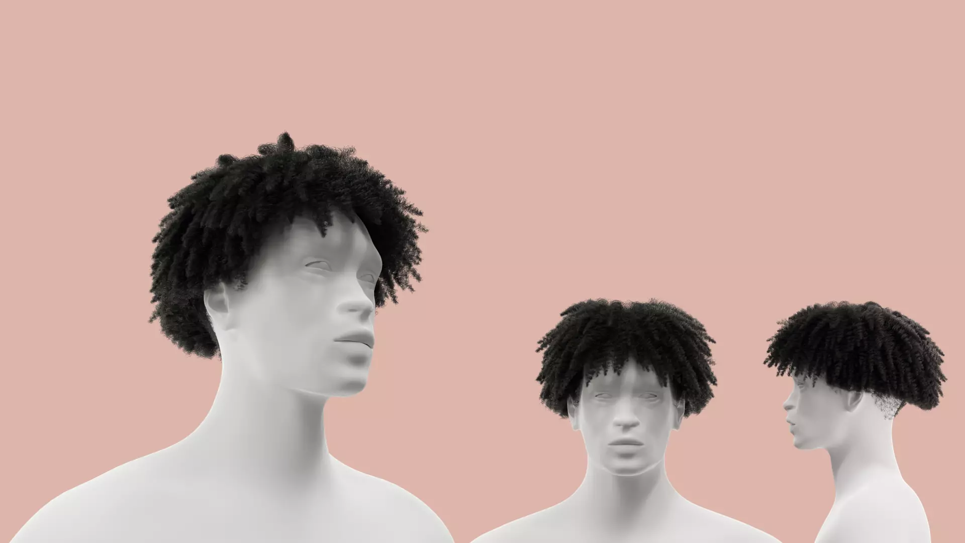 Loose Curl Afro 3D model_0