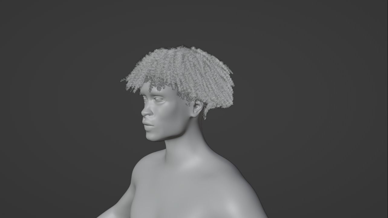 Loose Curl Afro 3D model_10